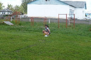 �����������