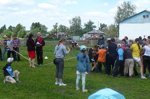 �����������